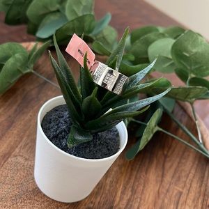 Stainless Steel CZ Ring, Size 8